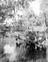 Fishing on the Hillsborough River - Thonotosassa, Florida