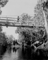 Fishing on the bridge at Hillsborough River State Park - Thonotosassa, Florida