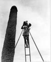 Naturalist Bill Harmon sets camera on "Ladderpod" to shoot woodpecker - Myakka River State Park, Florida