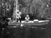 Howe Sadler hauls in a fish while Teresa Meyers watches - Cross Creek, Florida