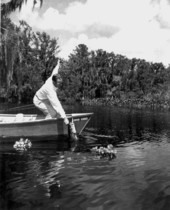 O. A. Barry landing an 8 pound bass - Cross Creek, Florida