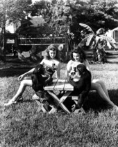 Women enjoying cokes with chimpanzees - Saint Petersburg, Florida