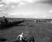 Cowboys perform at the rodeo - Okeechobee, Florida
