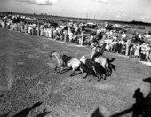 Cowboys perform at the rodeo - Okeechobee, Florida