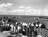Crowds watch a rodeo - Okeechobee, Florida