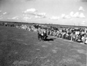 Crowds watch a rodeo - Okeechobee, Florida