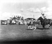 Cowboy attempts to lasso a calf - Okeechobee, Florida