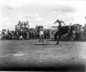 Cowboy riding a wild horse - Okeechobee, Florida