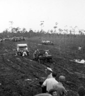 Naples' Swamp Buggy Day races - Naples, Florida