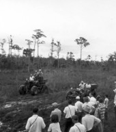 Naples' Swamp Buggy Day races - Naples, Florida