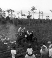 Naples' Swamp Buggy Day races - Naples, Florida