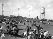 Grand entry of cowboys and cowgirls - Lakeland, Florida