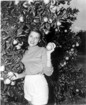 Gloria Thompson pose with orange tree in a grove - Orlando, Florida.