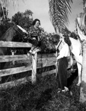 Riders and their horses - Howey-in-the-Hills, Florida .