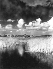 Clouds over the landscape - Everglades, Florida