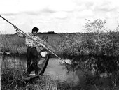 Seminole Indian Tommy Tiger gigging from a dugout canoe in the Everglades.