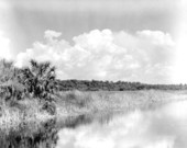 Landscape view from the Tamiami Trail - Everglades, Florida