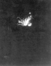 Fireworks at the watermelon festival - Leesburg, Florida