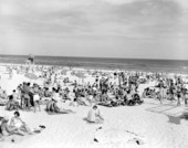 Beach scene.