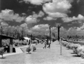 Wayside park at the Welcome Station .