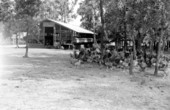Chicken hatchery near Jacksonville