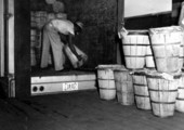 Unloading baskets of produce - Plant City, Florida