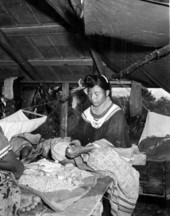 Seminole woman Leona Smith preparing corn for dinner at the Brighton Reservation in Glades County, Florida.