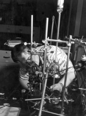 Student working in chemical laboratory, Florida State University - Tallahassee, Florida