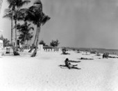 View of people on the beach.