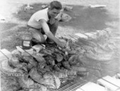A man barbecuing ribs - Sarasota, Florida.