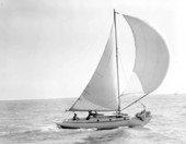 Sailboating off the coast of Fort Myers