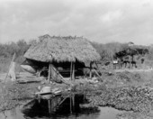 Small grass hut at Musa Isle Indian Village - Miami, Florida