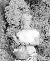Janet Rudolph poses in a dress with bougainvillea vine - Cypress Gardens, Florida