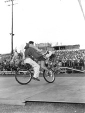 Bicycle performers at the Sarasota High School Sailor Circus