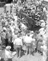 People gathered around tables to get free watermelon slices at the watermelon festival - Leesburg, Florida