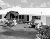 Yard work at a private residence - Winter Haven, Florida