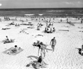 View of people on the beach.