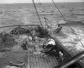 Shrimpers "breaking heads" off shrimp on a shrimp boat - Florida