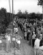 People waiting for the start of a contest in an orange grove - Orlando, Florida.