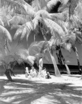 Two couples picknicking on the palm beach - Naples, Florida