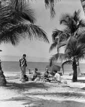 Picnic scene
