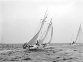 Sailboats off the coast of Tampa Bay