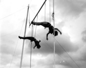 Trapeze artists of the Sarasota High School Sailor Circus