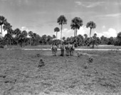 Zebras at Africa USA - Boca Raton, Florida.