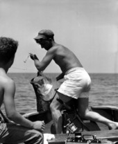 Fisherman pull in a large tarpon at Shark River.