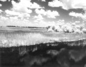 Landscape view of Tamiami Trail - Everglades, Florida.