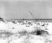 View of beach goers - Panama City Beach, Florida.