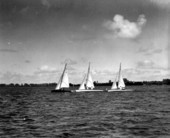 Suicide class sailboats in Labor Day boat races