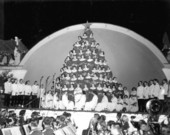 Singing Christmas tree - Fort Myers, Florida.