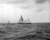 Sailboats at sea going from Fort Lauderdale to Bimini